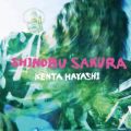 KENTA HAYASHI̋/VO - Shinobu Sakura