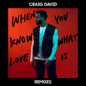 Ao - When You Know What Love Is (Remixes) / Craig David