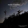 world of fantasy