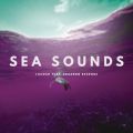 Sea Sounds featD Eduardo Resende