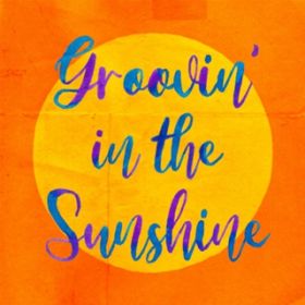 Groovin' in the Sunshine (featD BASI  䑾) / DJ HASEBE