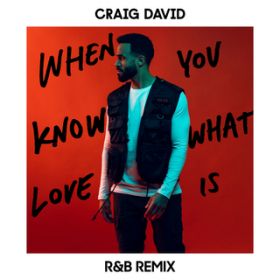When You Know What Love Is (RB Remix) / Craig David