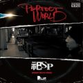 Ao - PERFECT WORLD / JSP
