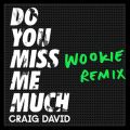 Craig David̋/VO - Do You Miss Me Much (Wookie Remix)