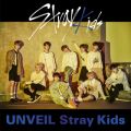 アルバム - UNVEIL Stray Kids / Stray Kids