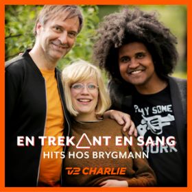 Ao - En Trekant En Sang 4 - Hits Hos Brygmann / Various Artists