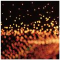 Marcus D̋/VO - Fireflies
