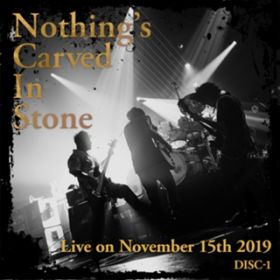 The Poison Bloom / Nothing's Carved In Stone