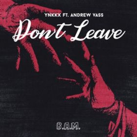 Don't Leave (Extended Mix) [featD Andrew Vass] / YNKKX