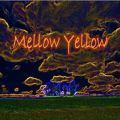 BW̋/VO - Mellow Yellow