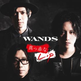 ̔ `WANDS 5 verD` / WANDS