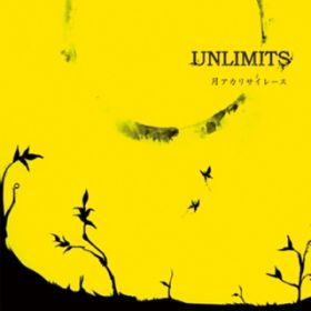 S / UNLIMITS