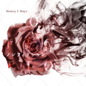 明日への架け橋 / Honey L Days