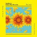 The Jones̋/VO - Sunflower (Cube Plus Rework)