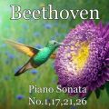 Piano Sonata NoD1,17,21,26