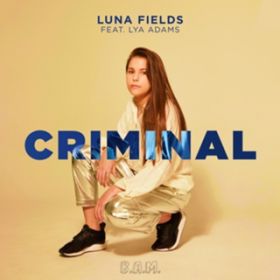 Criminal (Extended Mix) [featD Lya Adams] / Luna Fields