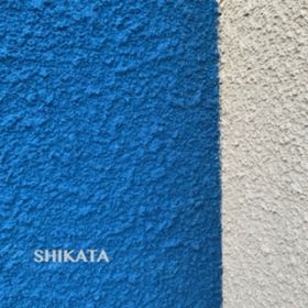 Ao - ǂɍsႤ񂾂낤 / SHIKATA