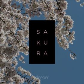 SAKURA / sleeper