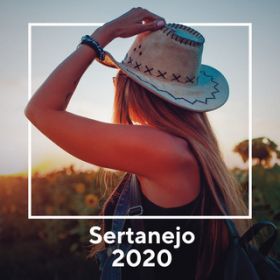 Ao - Sertanejo 2020 / Various Artists