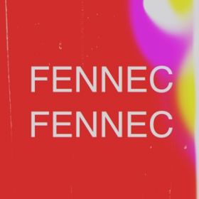 Ao -  / FENNEC FENNEC