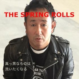 アルバム - 真っ黒なものは洗いたくなる / The Spring Rolls