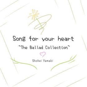 Ao - Song for your heart `The Ballad Collection` / R؏