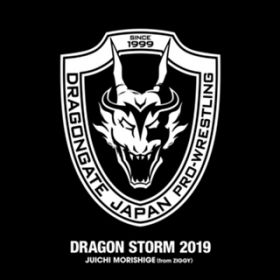 DRAGON STORM 2019 / Xd