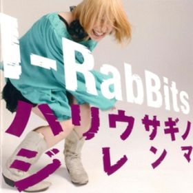 KA / IRabBits
