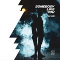 Le Dib̋/VO - Somebody Like You