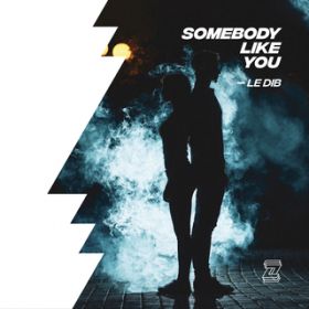 Somebody Like You / Le Dib