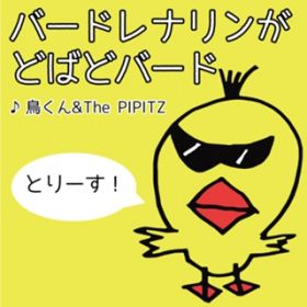 Ao -  /   The PIPITS