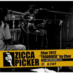 Ao - ZICCA PICKER 2012 volD18 [] / CHAR