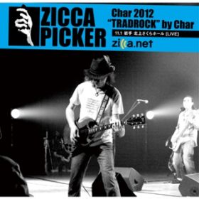 Ao - ZICCA PICKER 2012 volD11 [] / CHAR