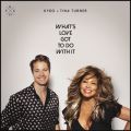 Kygo/Tina Turner̋/VO - What's Love Got to Do with It