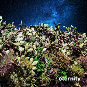 eternity / starRo