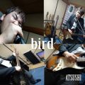 Ao - bird / ATSUSHI