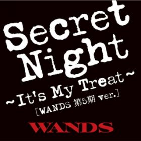 Secret Night`It's My Treat` [WANDS ܊ verD] / WANDS