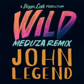 Wild (MEDUZA Remix) / John Legend