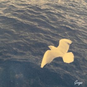 White bird / Genya
