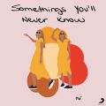 Sophia Stedile̋/VO - Some Things You'll Never Know