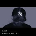 BASE̋/VO - What Are You On?