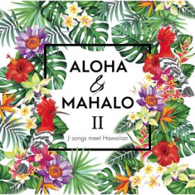 Ao - ALOHA  MAHALO II / Various Artists