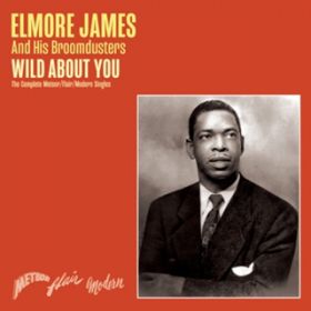 No Love In My Heart / ELMORE JAMES