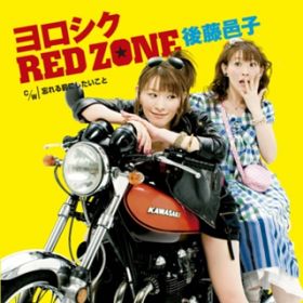 VN RED ZONE / 㓡Wq
