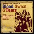 Ao - The Best Of / Blood, Sweat  Tears