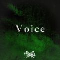 the Raid.̋/VO - Voice