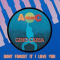 Ao - DON'T FORGET IT I LOVE YOU (Original ABEATC 12" master) / GINO CARIA