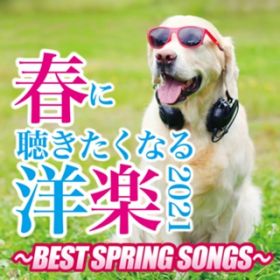 Ao - tɒȂmy2021 `BEST SPRING SONGS` / PARTY HITS PROJECT