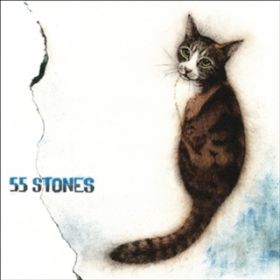 アルバム - 55 STONES / 斉藤 和義