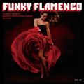 FUNKY FLAMENCO : T-GROOVE PRESENTS FRENCH  BELGIUM DISCO BOOGIE 1975-1980
